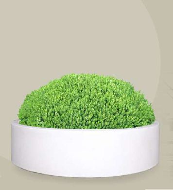 Bonsai Planter