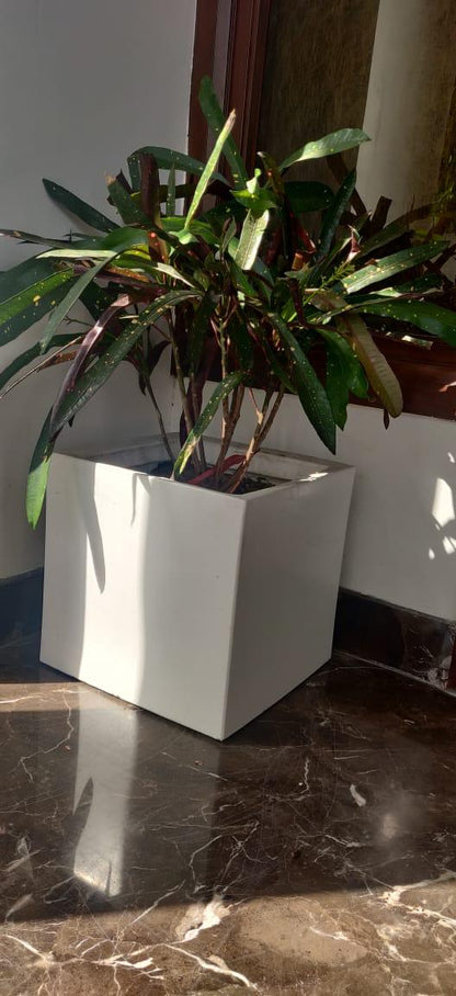Square Planter