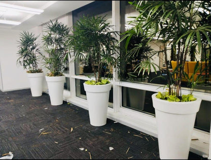Cone Planter