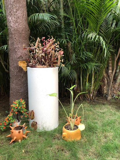 Cylindrical Planter