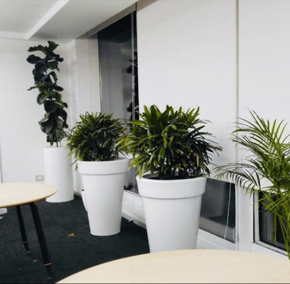 Eco Planter
