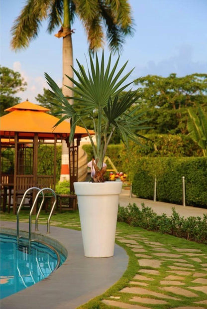 Cone Planter