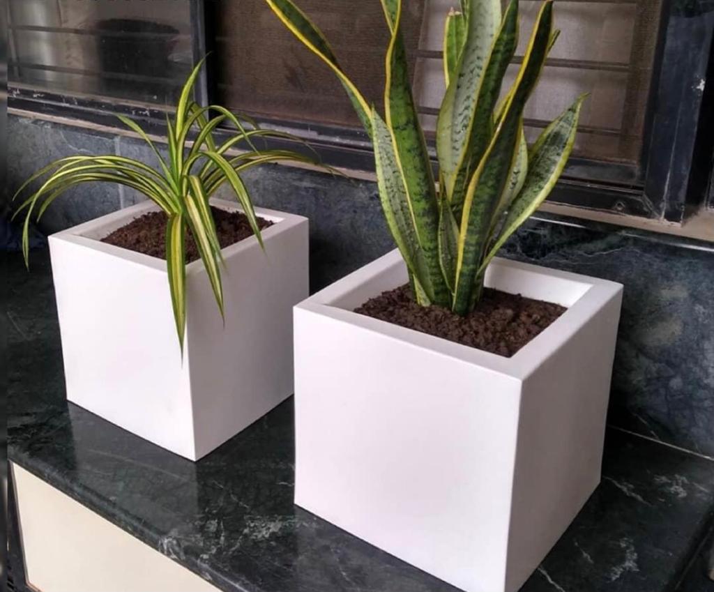 Square Planter