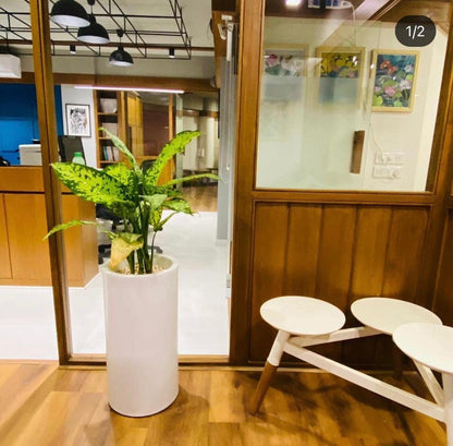 Cylindrical Planter