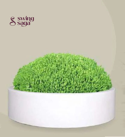 Bonsai Planter