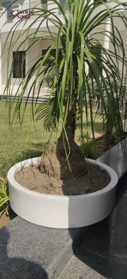 Bonsai Planter