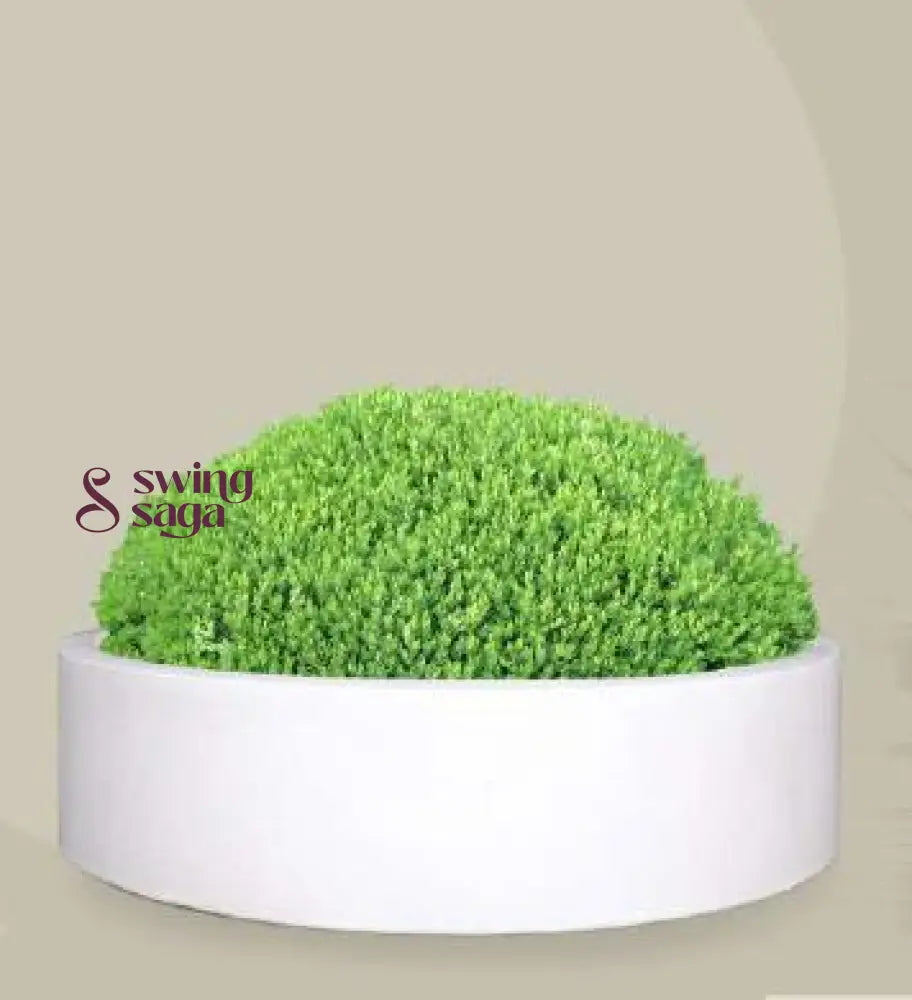 Bonsai Planter