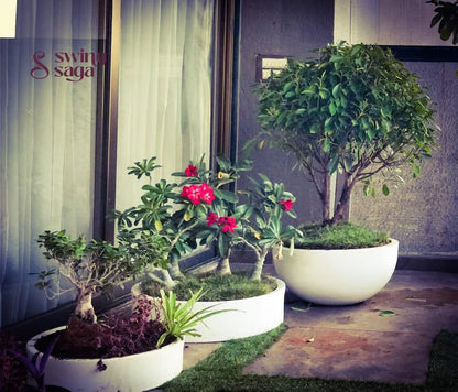 Bonsai Planter