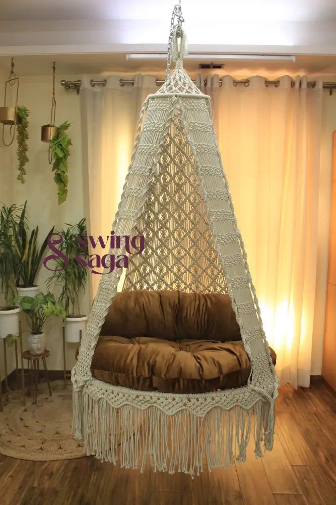 Chestnut Swing