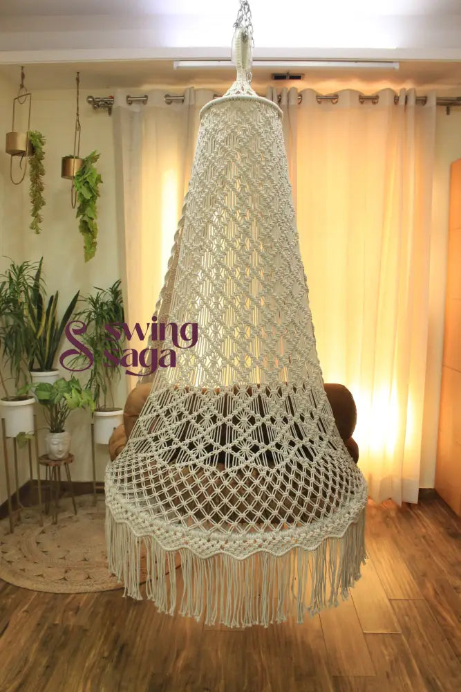Chestnut Swing
