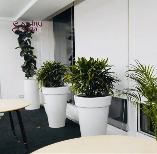 Eco Planter
