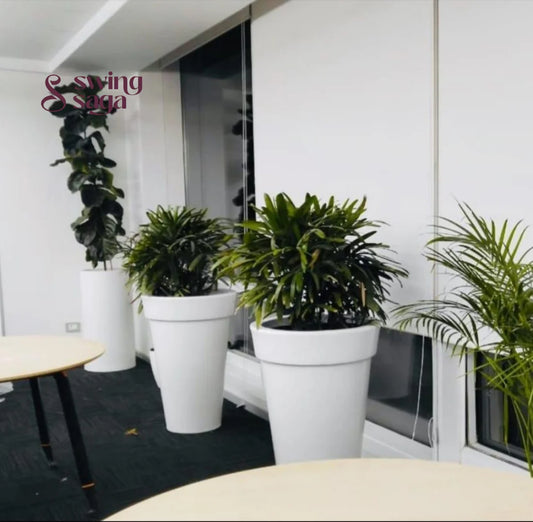 Eco Planter