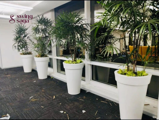 Eco Planter