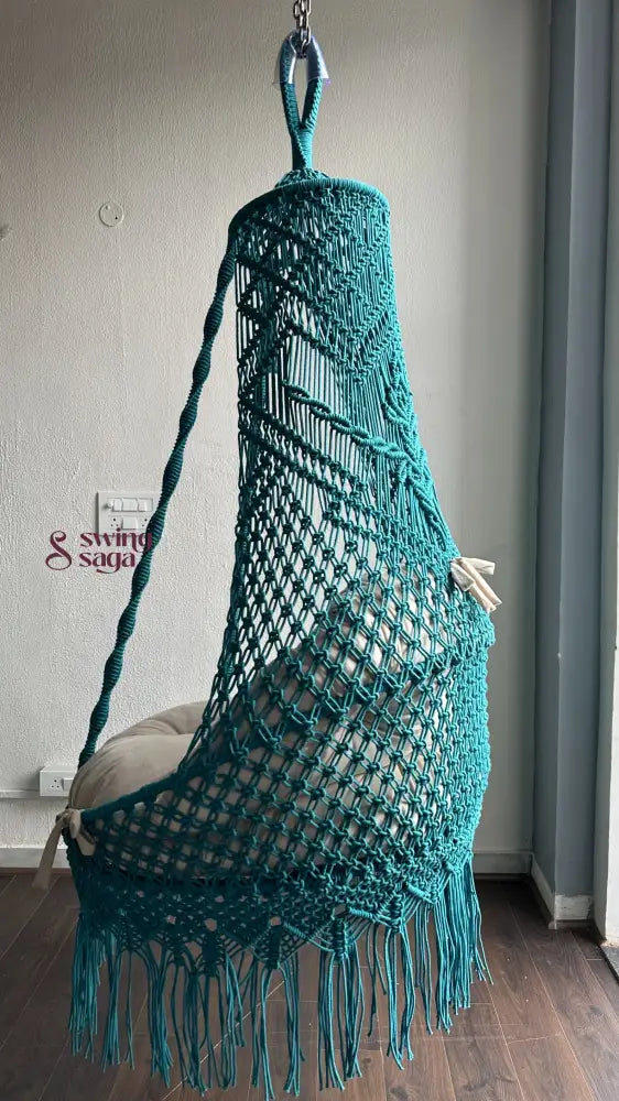 Frozen Hanging Chair Swing