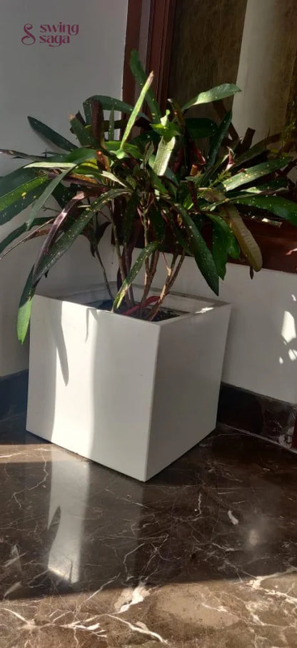 Square Planter