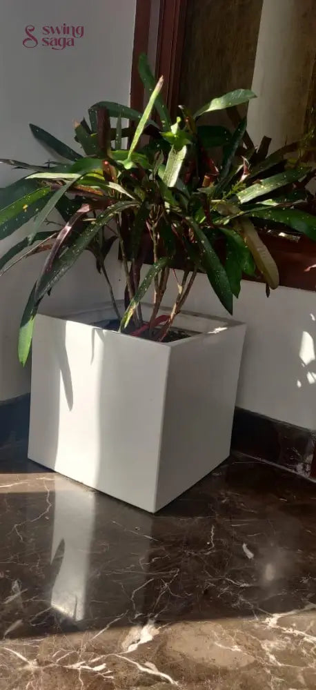Square Planter