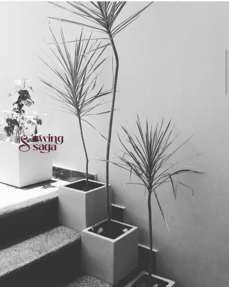 Square Planter
