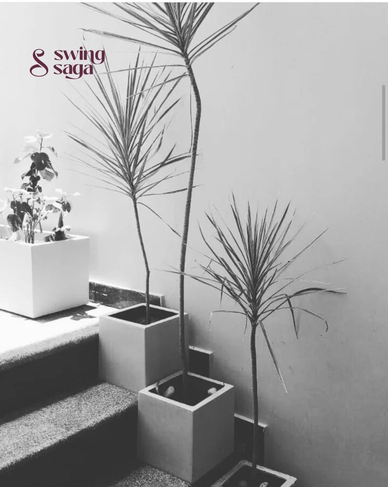 Square Planter