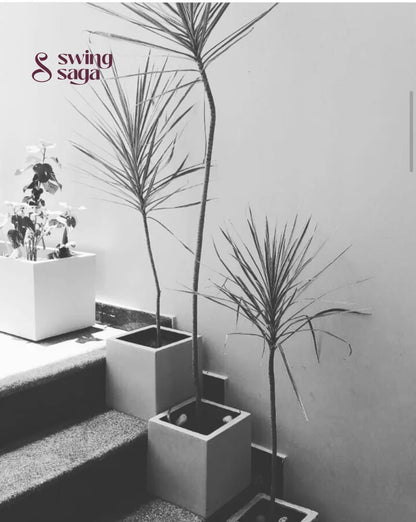 Square Planter