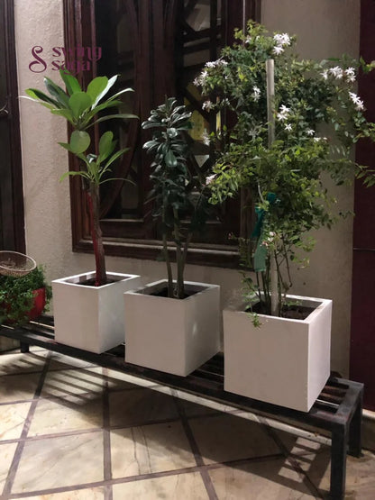 Square Planter