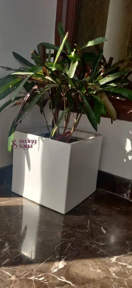 Square Planter